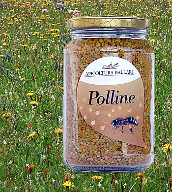 Polline