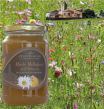 Il miele millefiori viene prodotto dai fiori dei prati