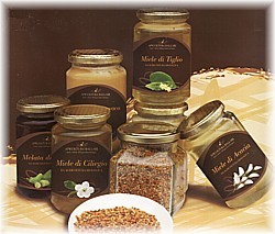 Assortimento della nostra produzione