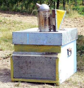 alveare per api
